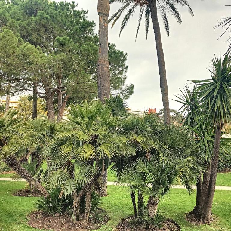 Home Riviera - 1 Bedroom Apartment Garden View Near Beach - Deluxe Apartment mit 1 Schlafzimmer und Gartenblick - 15