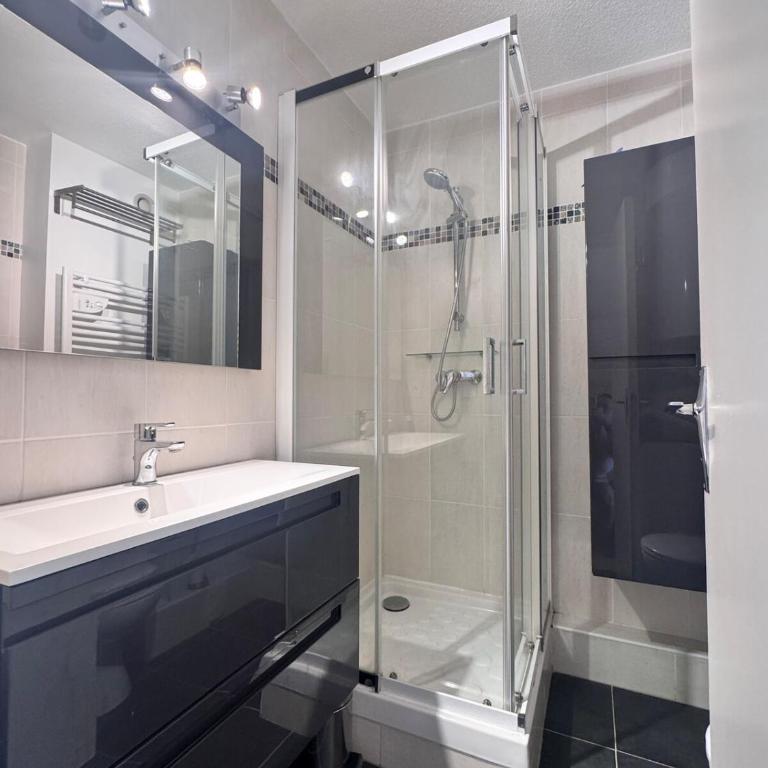 Tout schuss au Panoramic - Appartement 1 Chambre - 5