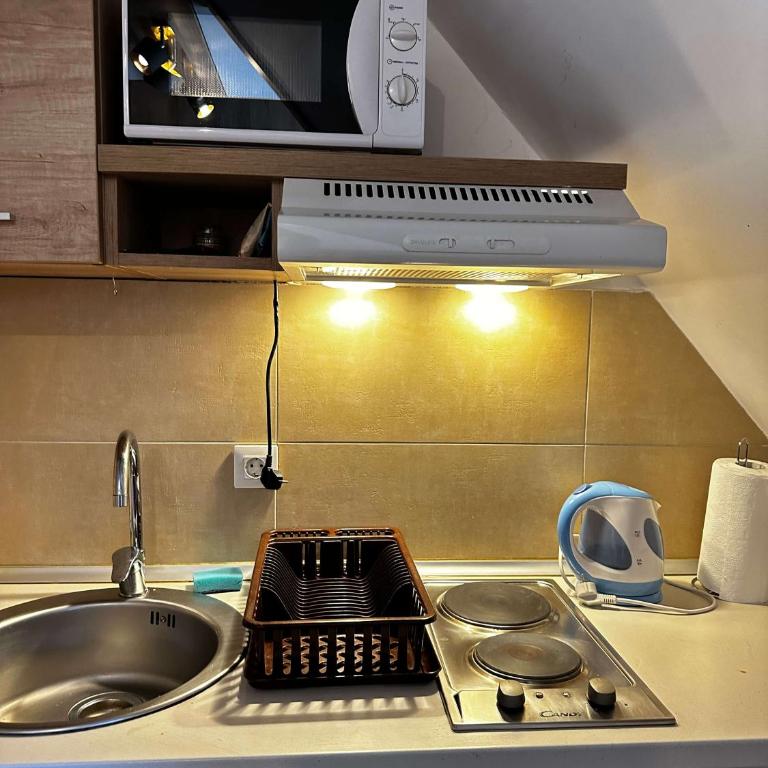 Konaci Kopaonik 28 - One-Bedroom Apartment - 18