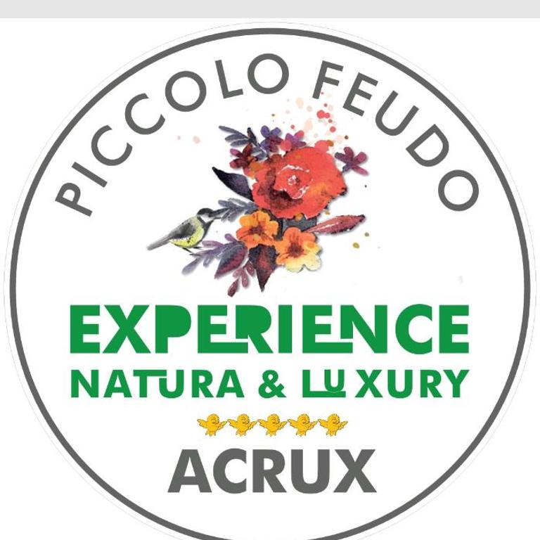 Piccolo Feudo Green Resort - Appartamento Superior con Balcone - 11