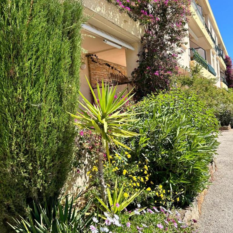 Le Cocon des Floréal - Appartement 1 Chambre - 12