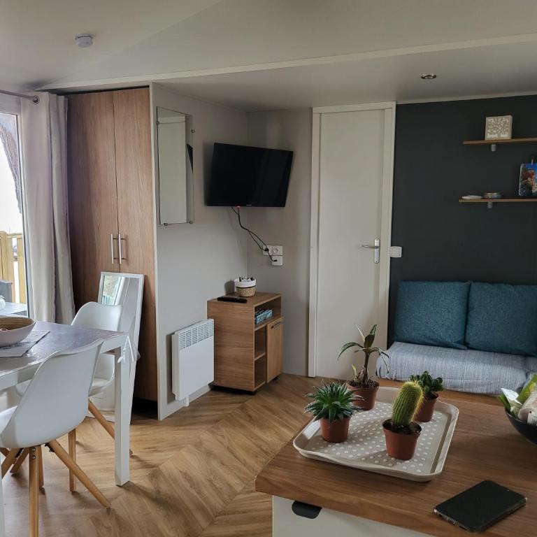 Mobil Home spacieux Camping Mar Estang 4* - Casa Mobile - 14