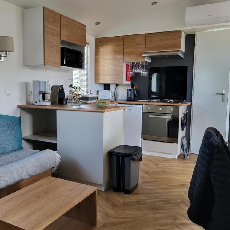 Mobil Home spacieux Camping Mar Estang 4* - Casa Mobile - 11
