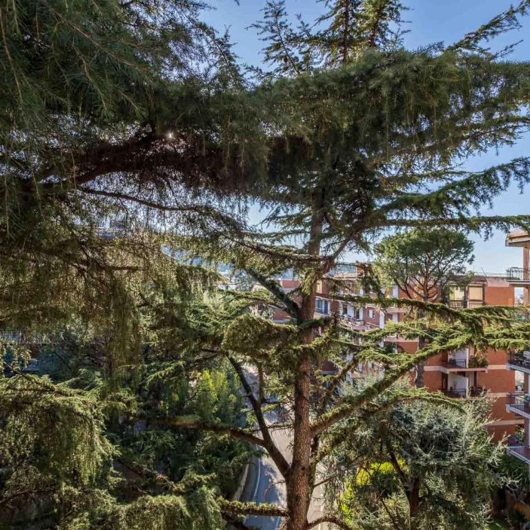 Pine House Sorrento - Three-Bedroom Apartment - 24