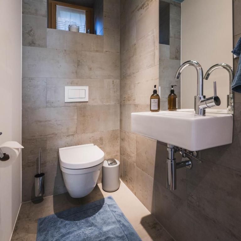 Schmiedgut Bad Aussee - Ferienhaus - 13
