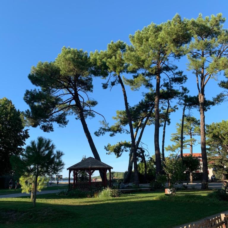 Little Murmur - Détente absolue entre lac, golf et océan à Hossegor - Apartment mit 1 Schlafzimmer - 19