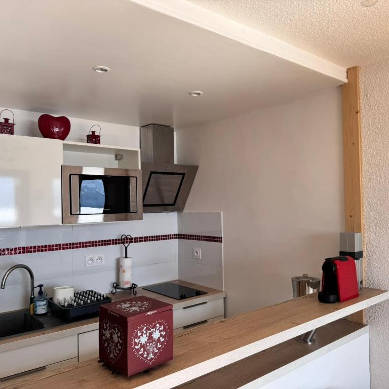 Tout schuss au Panoramic - Appartement 1 Chambre - 29