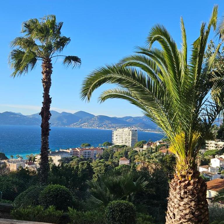 Cannes - Superbe 2 pièces avec piscine - proche plages et centre - Apartment mit 1 Schlafzimmer - 13