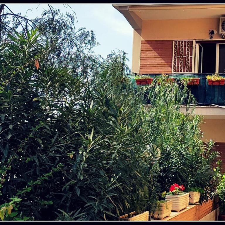 Il Cupolone in Pineta - Two steps in the pinewood towards the Vatican! - Casa Vacanze - 33