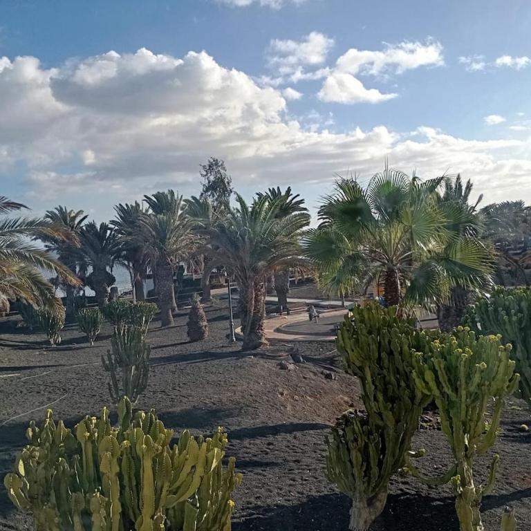 Costa Mar 90m 2 dormitorios, Primera línea del mar, 20 metros de playa Bastian - Apartamento de 2 dormitorios con vistas al océano - 35