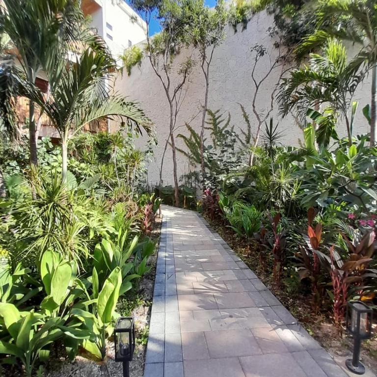 Adora Tulum - Estudio - 10