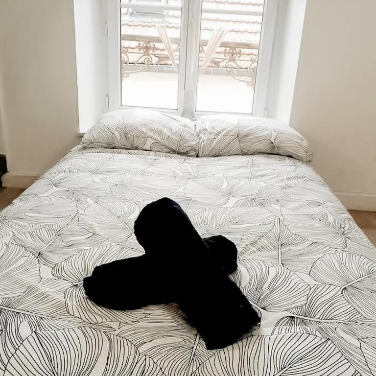 Henri, Hyper centre, Parking privé - Appartement 2 Chambres - 16