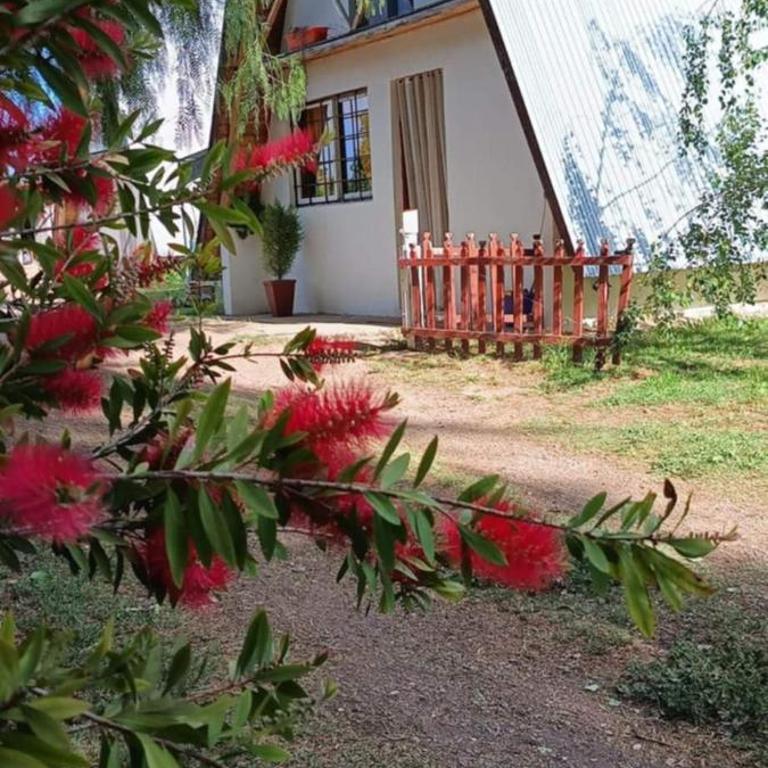 Alpes San Rafael - Casa con 1 dormitorio - 39