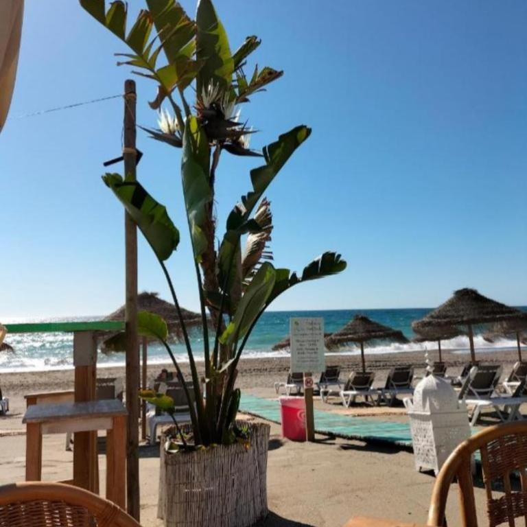 ROYAL DUQUESA HILLS - La Duquesa, Sabinillas, Manilva, Málaga - 513 - Apartamento de 2 dormitorios - 58