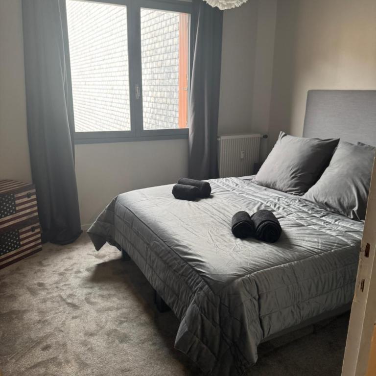 Appartement PLACE MORNY, HYPER CENTRE ! - Appartement 2 Chambres - 8