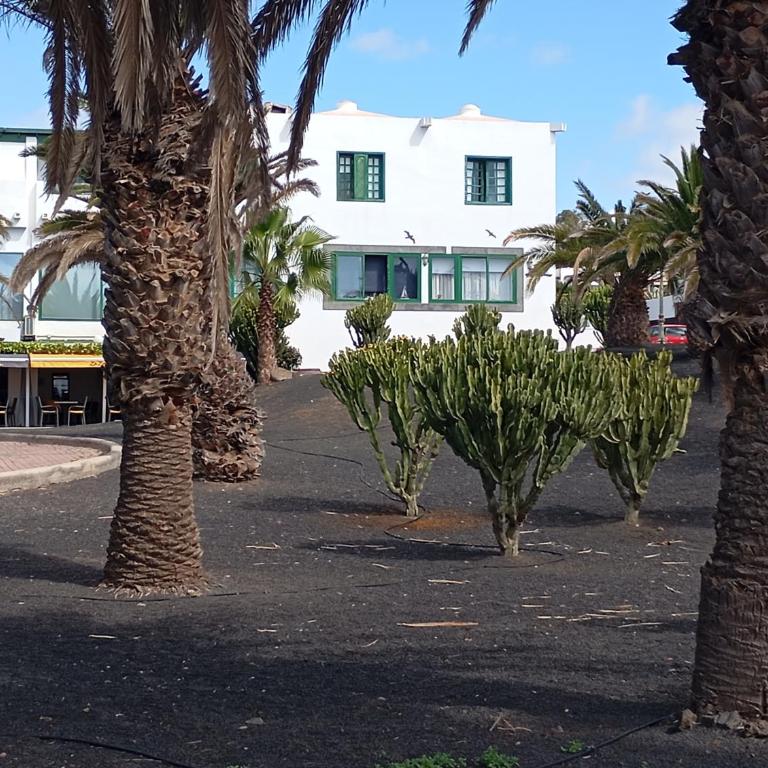 Costa Mar 90m 2 dormitorios, Primera línea del mar, 20 metros de playa Bastian - Apartamento de 2 dormitorios con vistas al océano - 32
