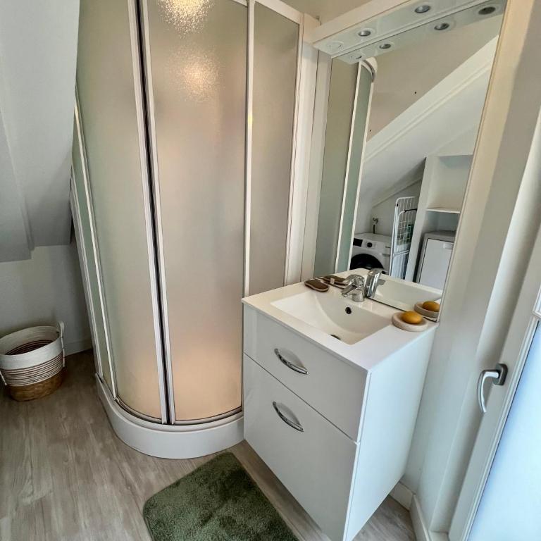 Le Celtic - Apartamento de 1 dormitorio - 14