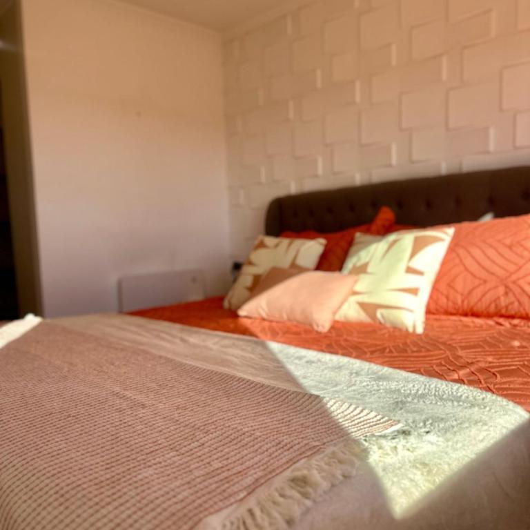 Moderno y Amplio - Apartamento de 2 dormitorios - 3