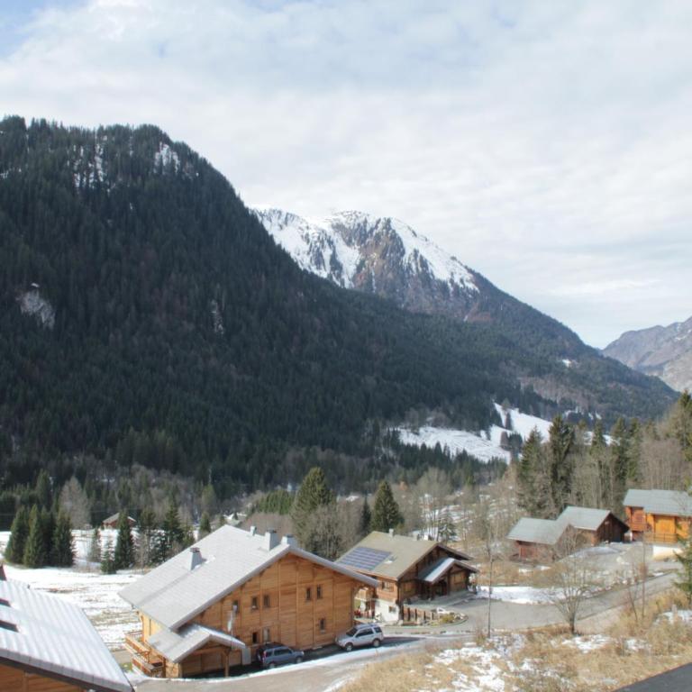 Apartment in Chatel with valley views - Apartment - 24