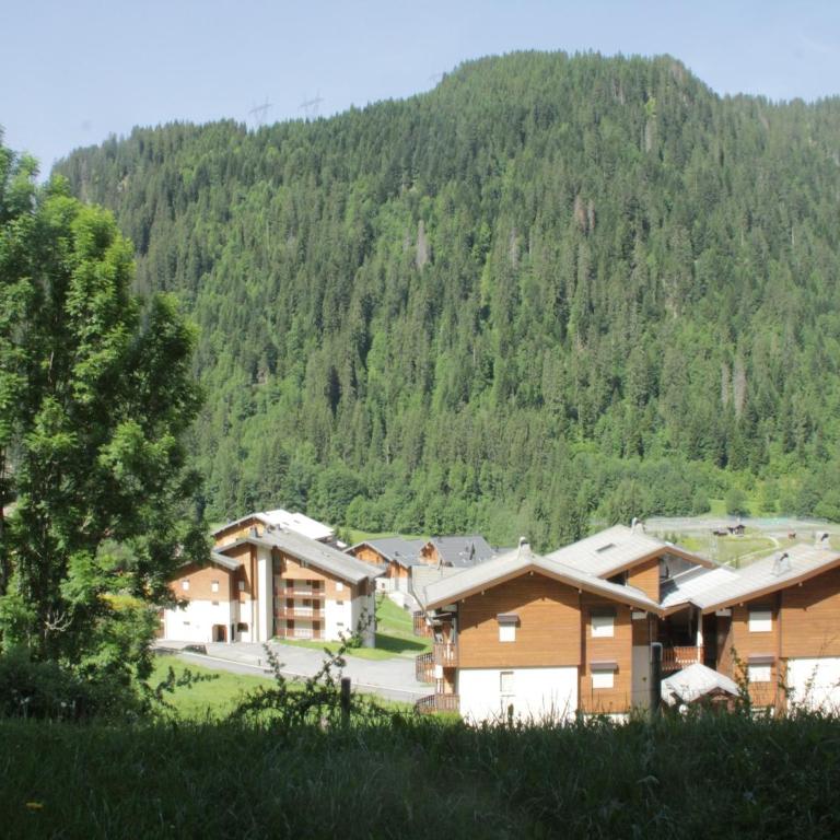 Apartment in Châtel with Stunning Mountain Views - Apartamento de 1 dormitorio - 30