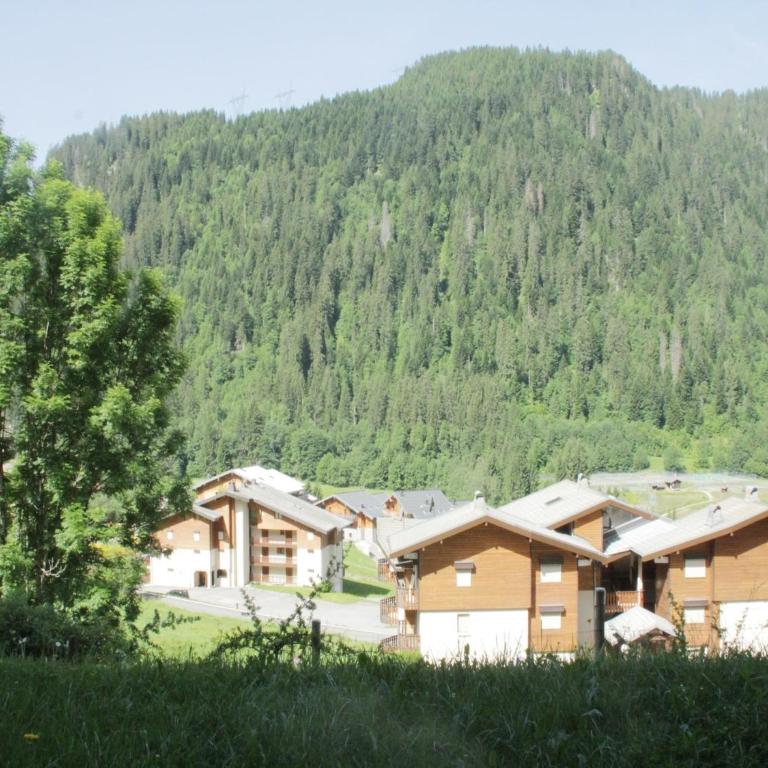 Apartment in Châtel with Stunning Mountain Views - Apartamento de 1 dormitorio - 12