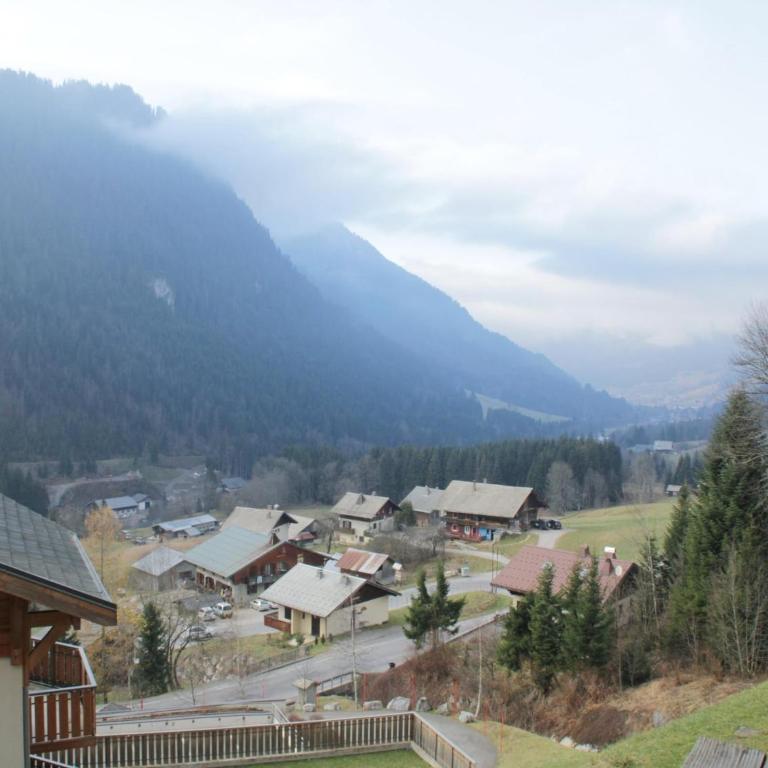 Studio in Châtel near Cable Car Station - Apartment - 10