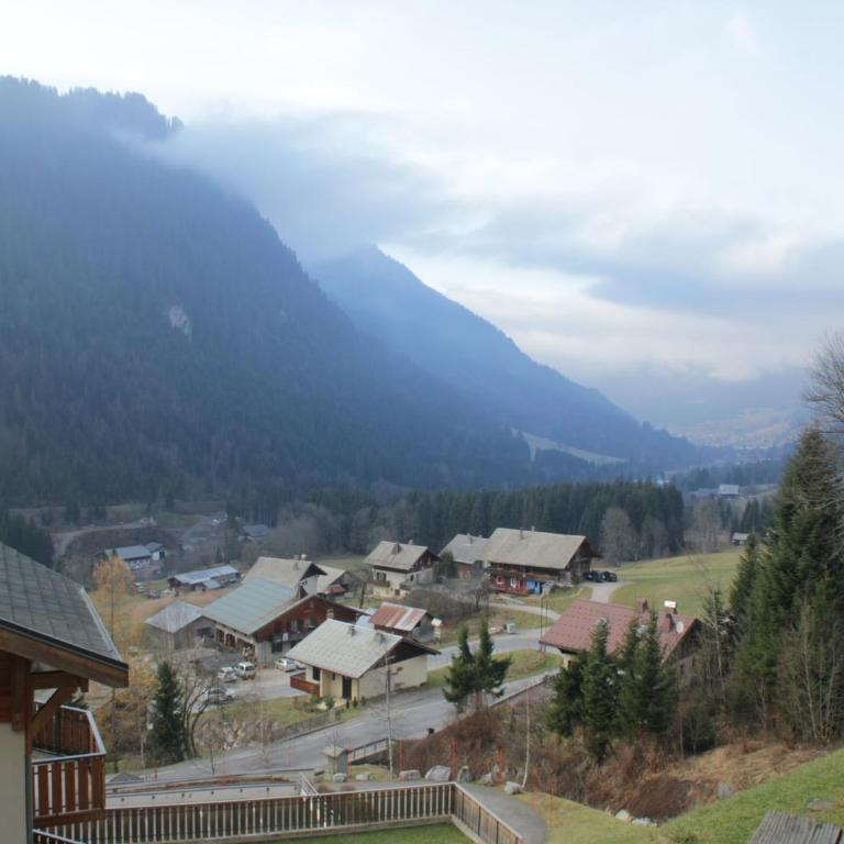 Studio in Châtel near Cable Car Station - Apartment - 28
