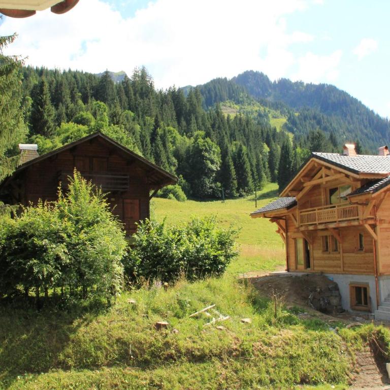 Holiday home in Chatel near ski area - Casa - 28