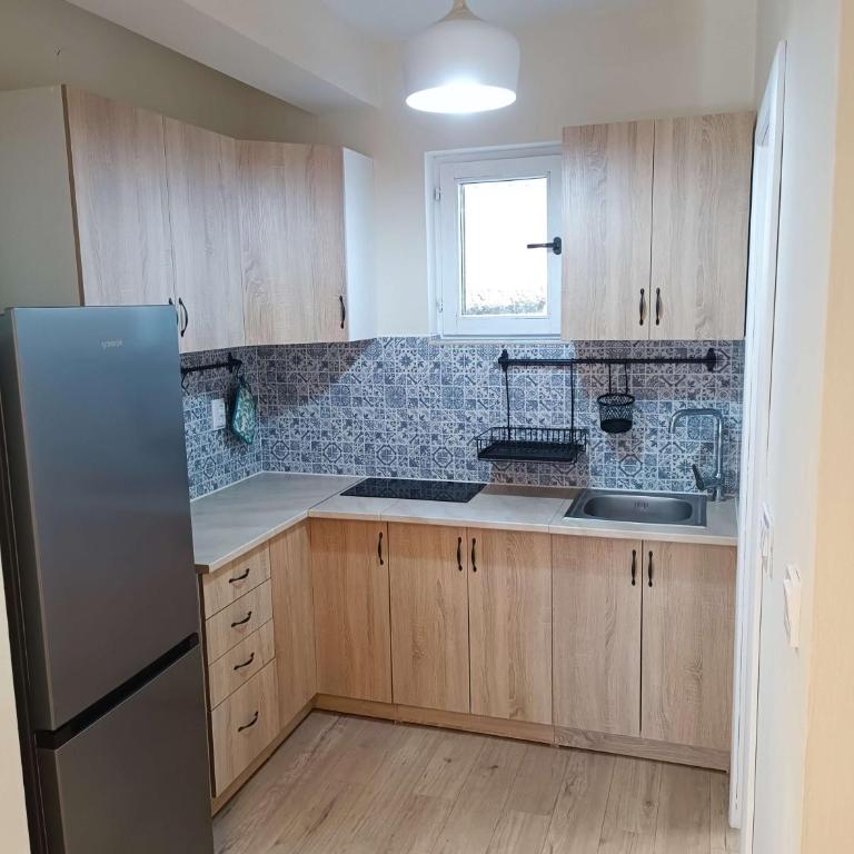 Drenovik - Two-Bedroom Apartment - 13