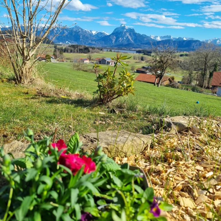 Landhaus Poppler mit Aufzug - Apartment mit 1 Schlafzimmer - 15