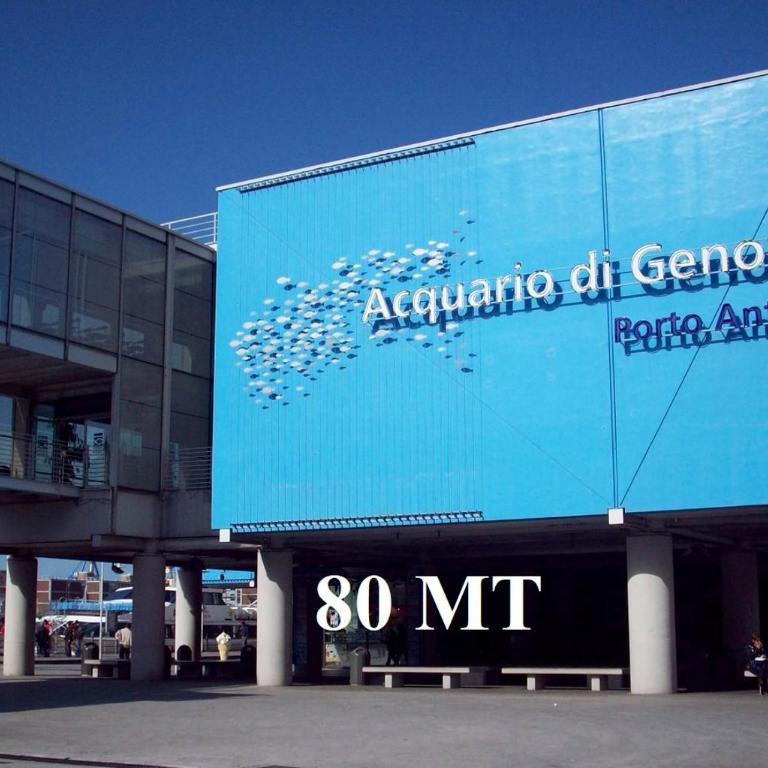 Acquario 2 - Appartamento con 2 Camere da Letto - 3