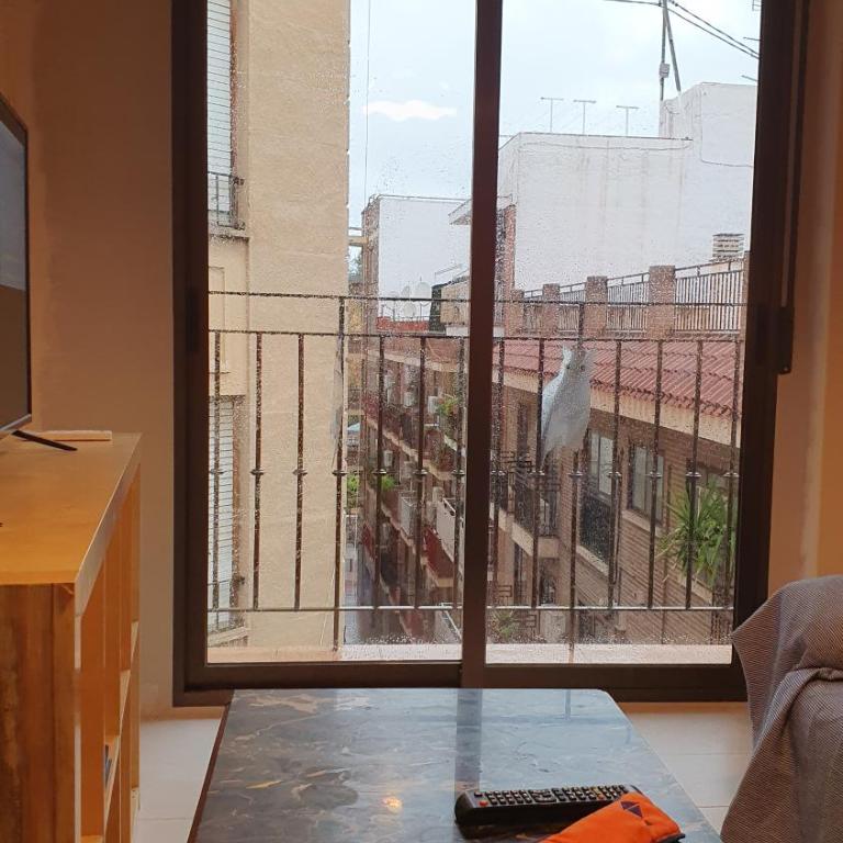 APARTAMENTO LOS BÚHOS - Apartamento de 2 dormitorios - 2