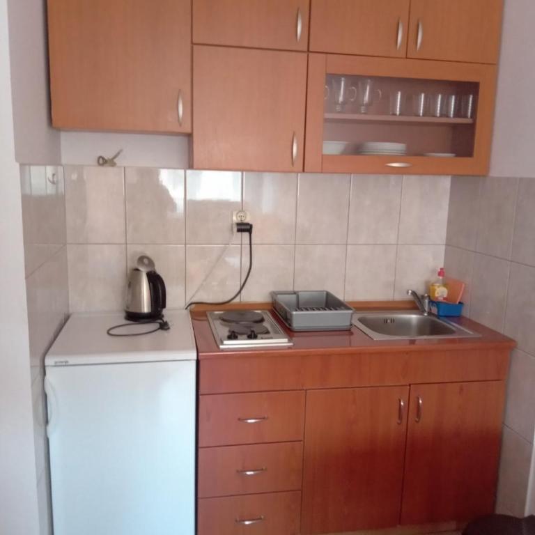 Apartman Maksimovic 2 - Apartman sa 1 Spavaćom Sobom - 1