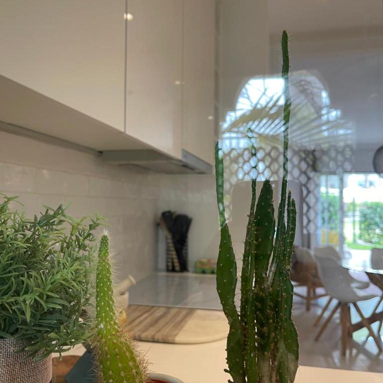 Bohemian Chic appartement famille plage et 5 piscines - Two-Bedroom Apartment with Pool View - 11