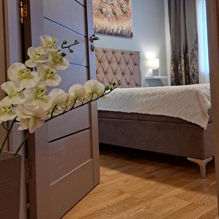 Apartman 49 - One-Bedroom Apartment - 3