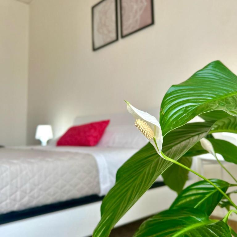 Casa Gabry - Three-Bedroom Apartment - 25