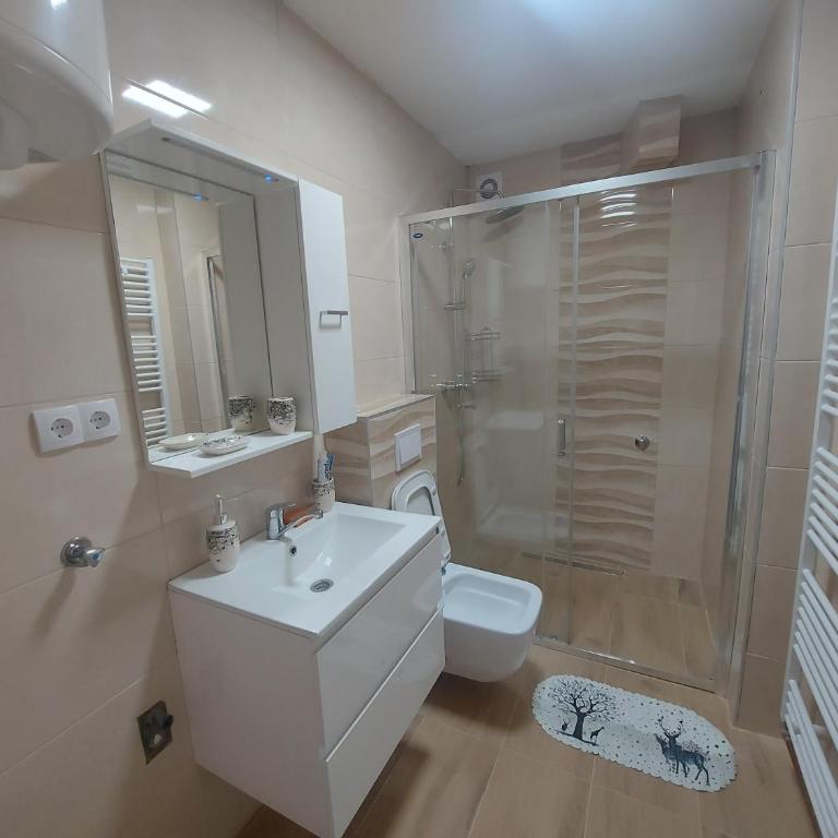 Apartman Borik - Apartman sa 1 Spavaćom Sobom - 9