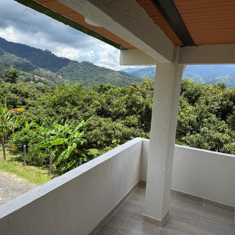 apartamento campestre 201 - Apartamento Superior de 2 dormitorios - 12