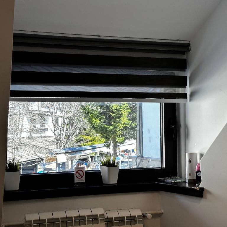 Konaci 25 Kopaonik - Apartman sa 1 Spavaćom Sobom - 5