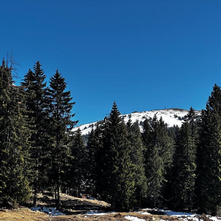 Konaci 25 Kopaonik - Apartman sa 1 Spavaćom Sobom - 42