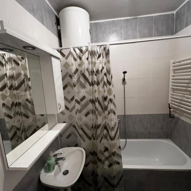 Biser 4 - One-Bedroom Apartment - 5