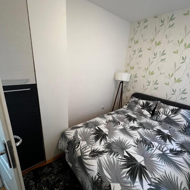 Biser 4 - One-Bedroom Apartment - 6