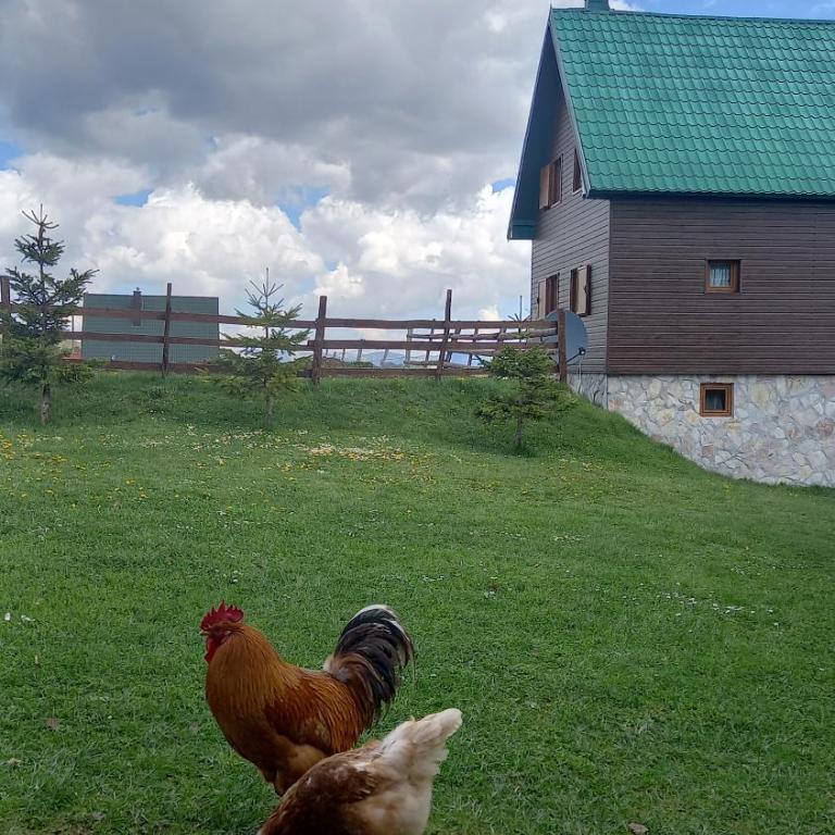 Family Farm Apartments - One-Bedroom Apartment with Patio - 19