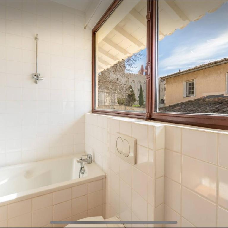 Papissime vue palais des papes clim parking - Apartment mit 2 Schlafzimmern - 22