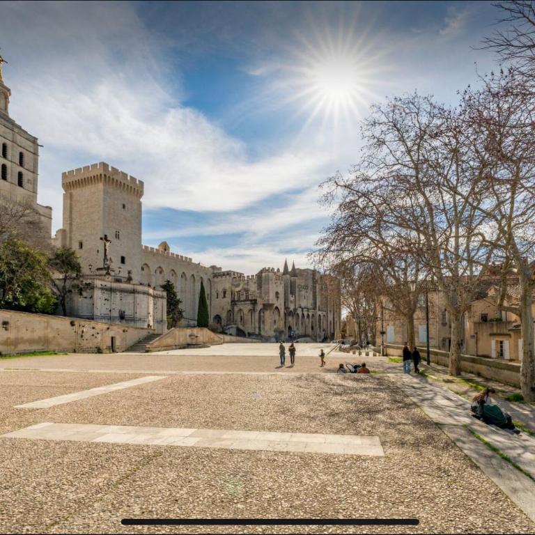 Papissime vue palais des papes clim parking - Apartment mit 2 Schlafzimmern - 14