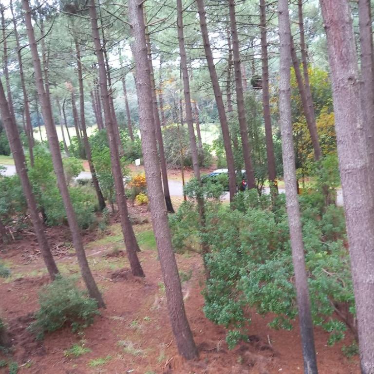 T2 32m2 terrasse 8m2 PISCINE LACANAU OCEAN LAC GOLF MULTISPORT - Appartement 1 Chambre - 26