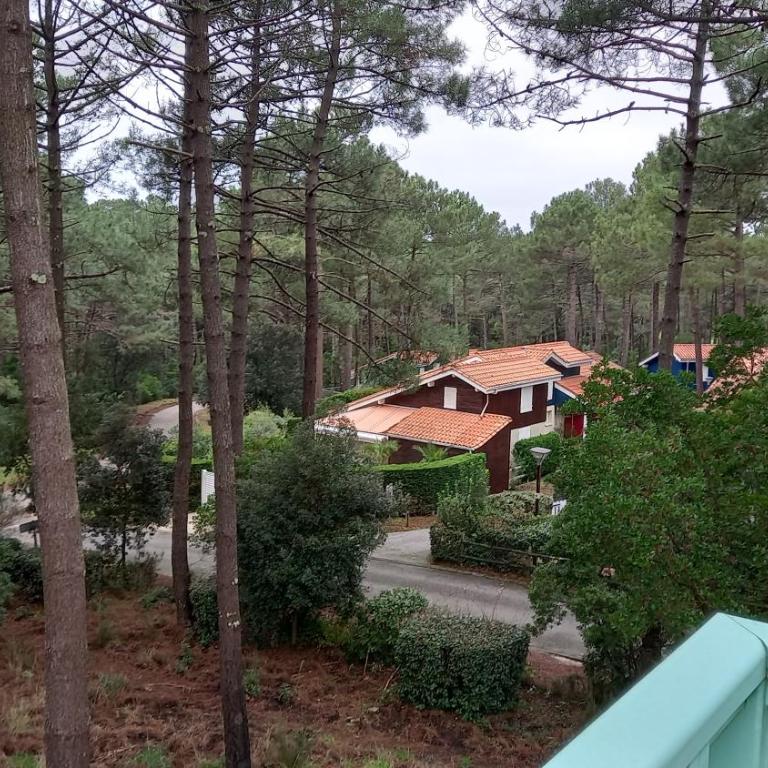 T2 32m2 terrasse 8m2 PISCINE LACANAU OCEAN LAC GOLF MULTISPORT - Appartement 1 Chambre - 29