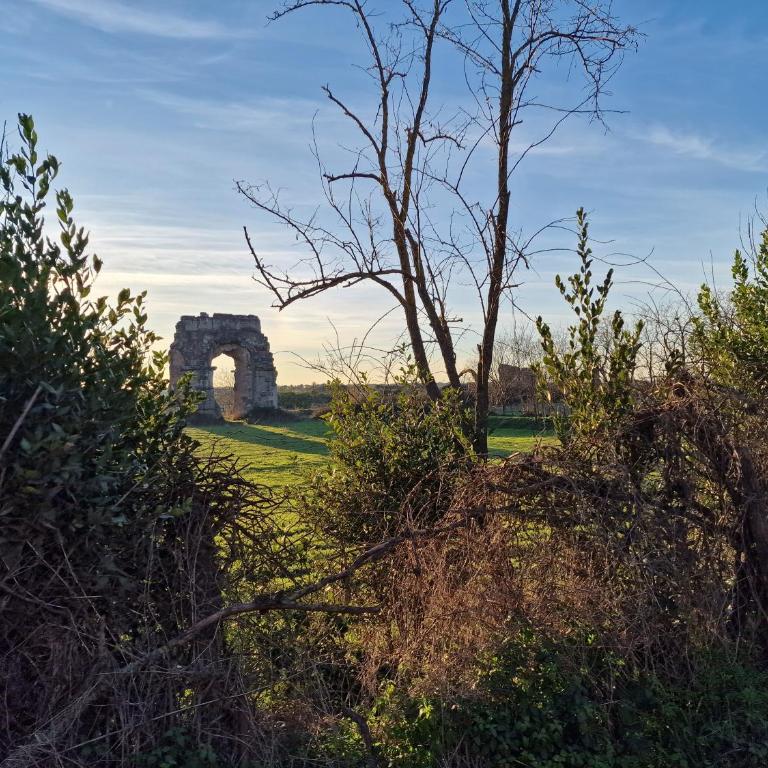 Appia Antica - Parco Acquedotti - Appartamento Familiare con 2 Camere da Letto - 1