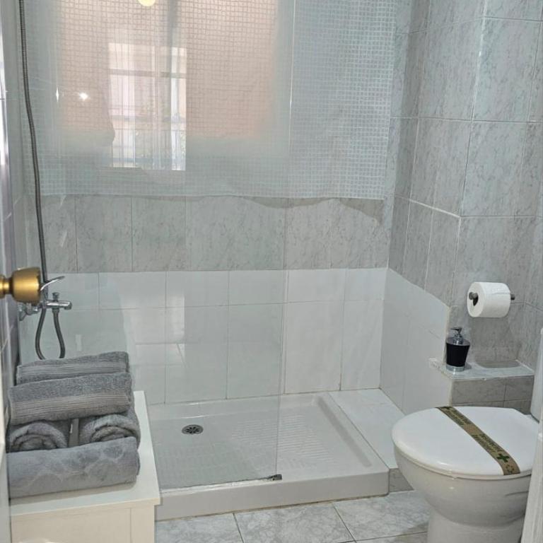 Ideal Holiday Apartment City Center - Apartamento - 5