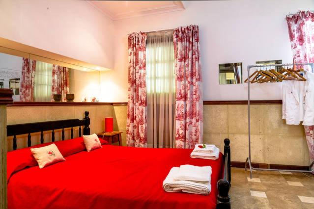 Alex Apartment - Apartamento - Planta baja - 3